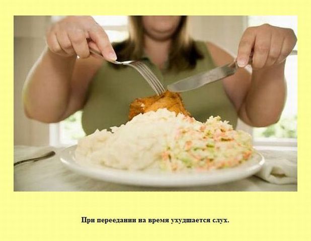 Подборка интересных и забавных фактов
