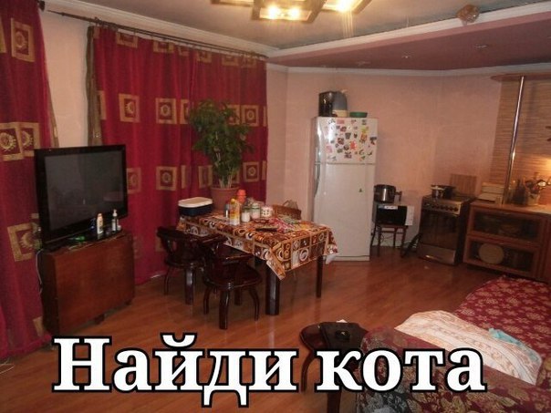 Подборка картинок с просторов...
