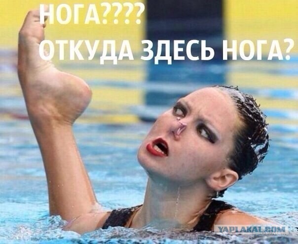 Сборище абсурда