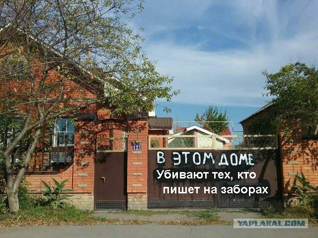 Дом, где лоб зеленкой мажут