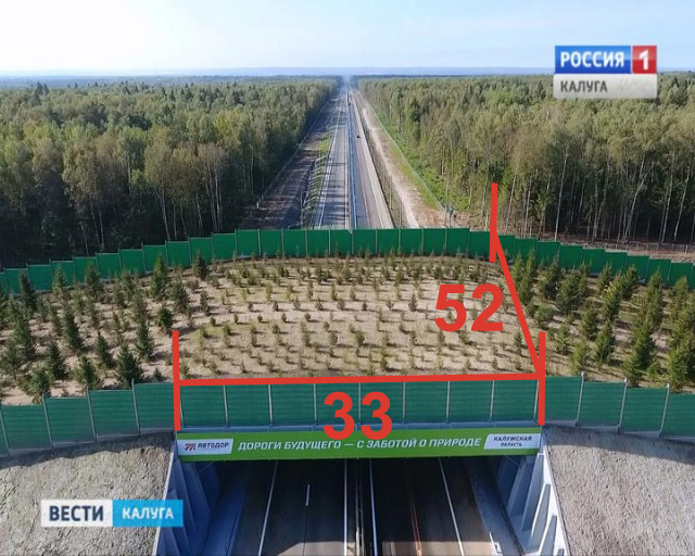 Второй в России экодук открыли в Калужской области