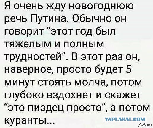 В России появятся частные леса