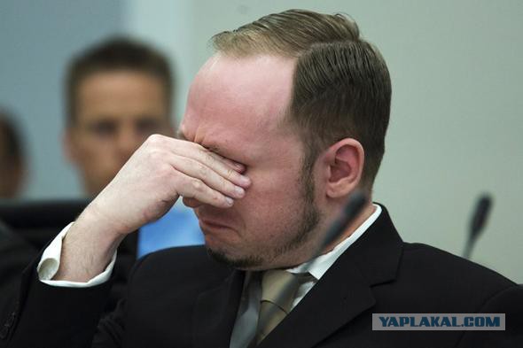 Вот такие проблемы у беженцев в Швеции..