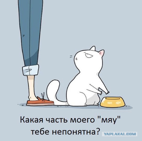 Подборка интересных и веселых картинок
