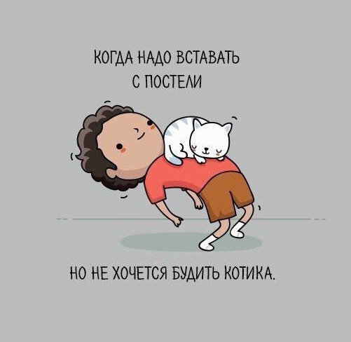 29 картинок