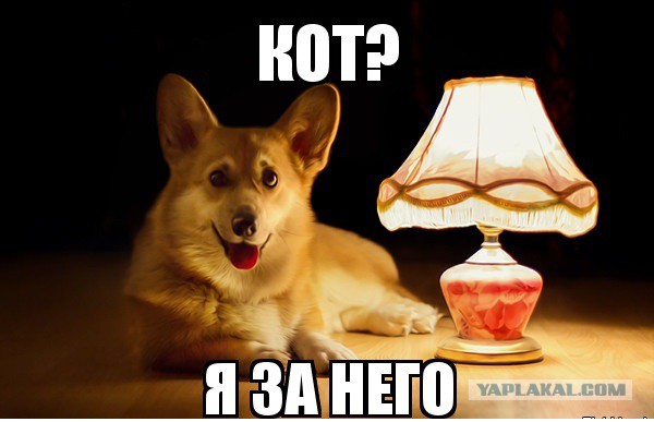 Как вернуть потерянный телефон, если его нашёл не самый порядочной человек…