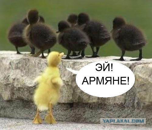 130 картинок для поднятия настроения!