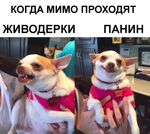Тёмные силы желают подеградировать