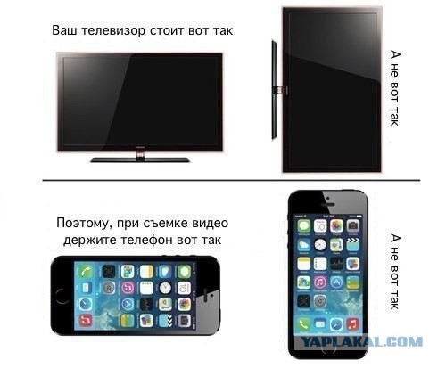 Где-то в уголке зарыдали все охотники страны!