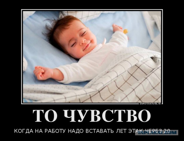 Итоги проверки пользователей