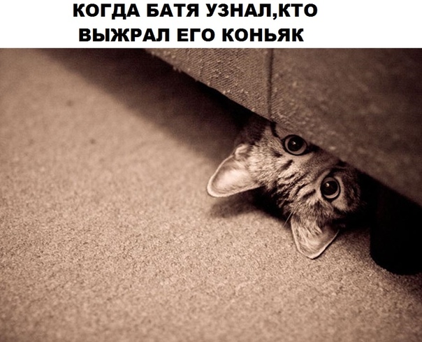 Смешные комментарии из социальных сетей 31.08.2018