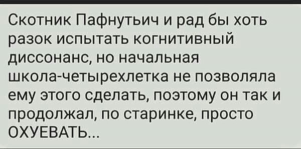 25 приколов для поднятия настроения
