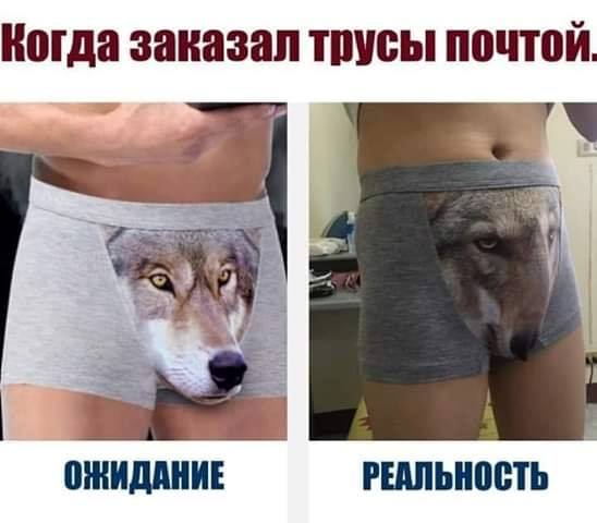 Не очень адекватный юмор