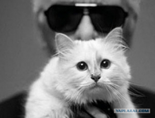 Умер известный модельер Карл Лагерфельд — дизайнер, креативный директор Chanel. 85 лет.