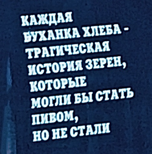 Анекдоты, соц-сети и картинки с надписями