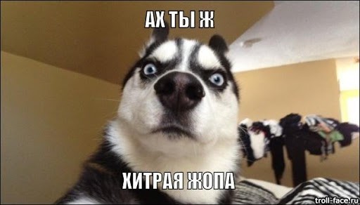 Хитрый москвич придумал, как быстро и бесплатно найти место на парковке