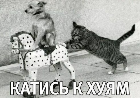 Собакочетверг. Нам сегодня 7 лет!