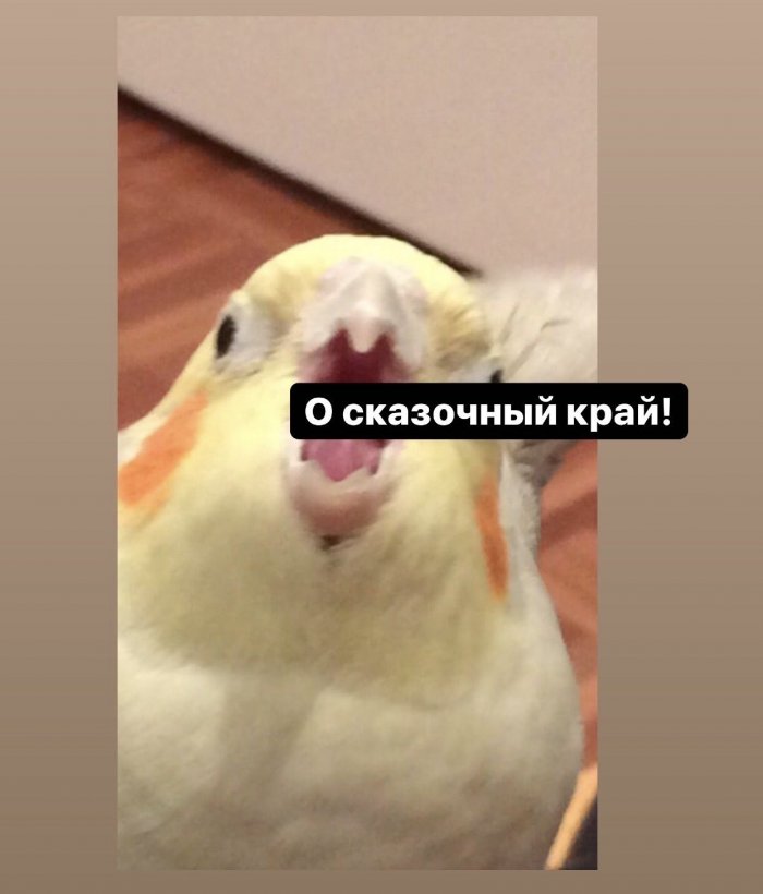 14255609.jpg