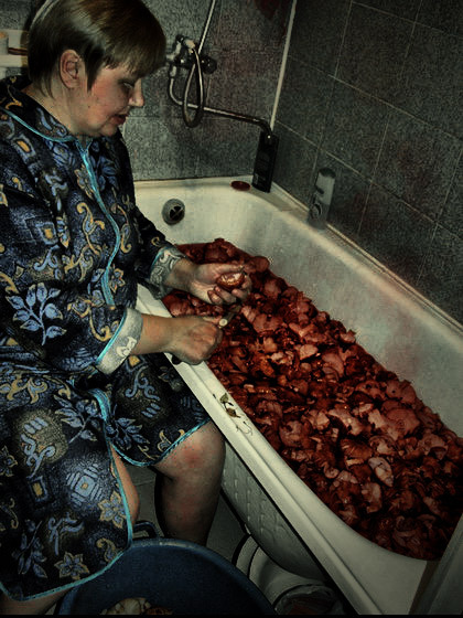 Фотожаба: Грибы на ноутбуке
