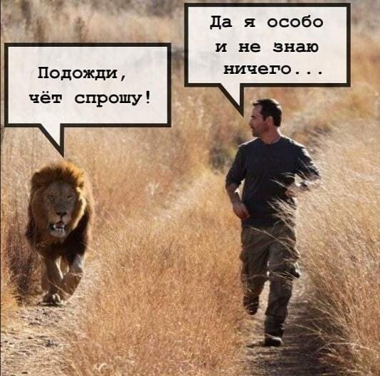 Мужик, тормозни на минуточку, поговорить надо
