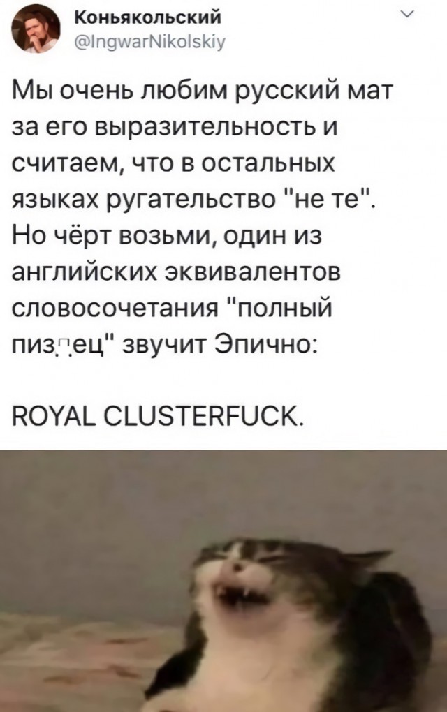 Немного картинок для настроения 114