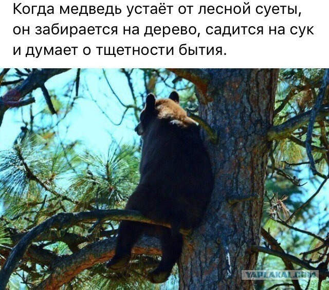 "Наспалась на всю жизнь": россиянки признались, как развлекаются с местными в Турции