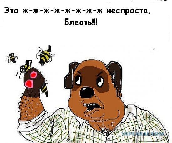 Будь мужиком, скажи что думаешь!