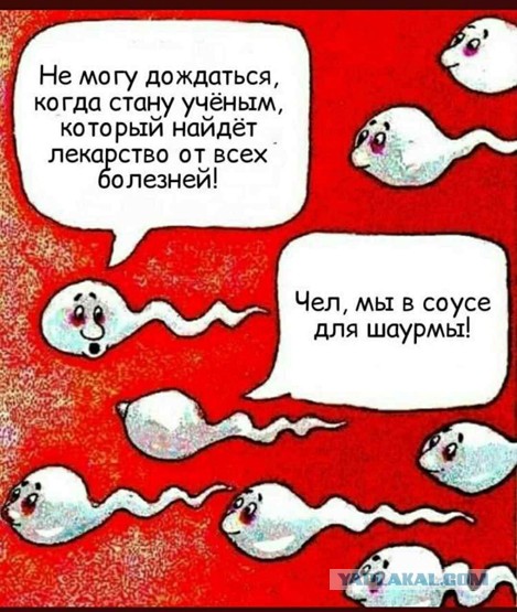 Юмор в картинках 17.11.20