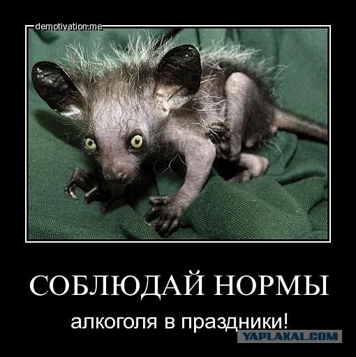 Алкаши !