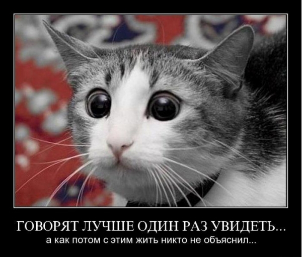 Светская львица Света Яковлева