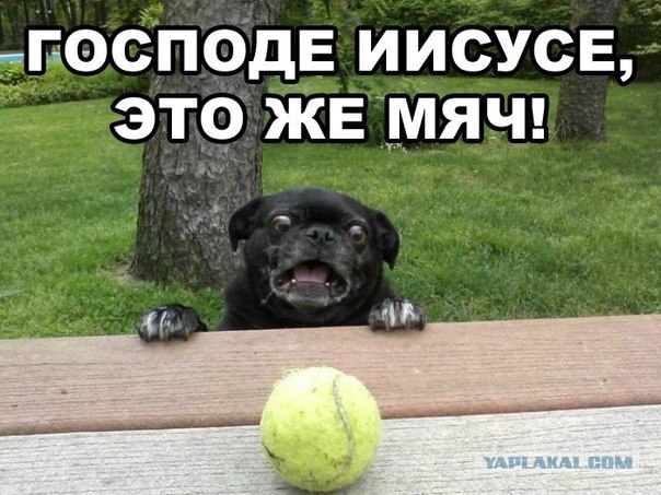 Мячик мой... любимый, ненаглядный!