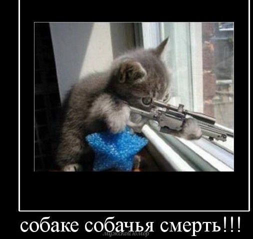 Почему некоторые мужчины отказываются от кунилингуса?