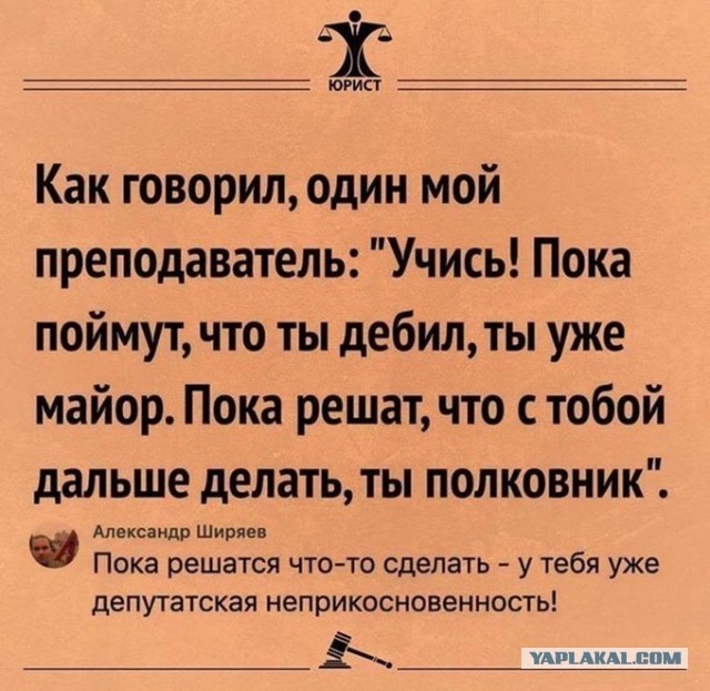 Нижегородец 25 лет проработал в полиции с поддельным дипломом и дослужился до майора