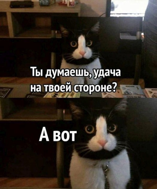 Так себе картинки 18.07.21