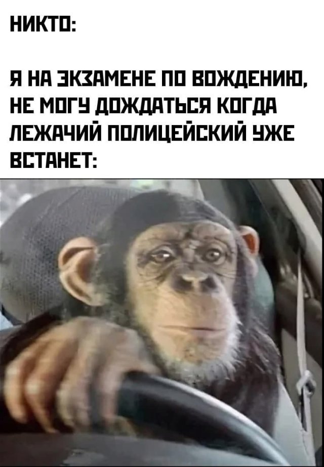 Так себе картинки 01.09.21