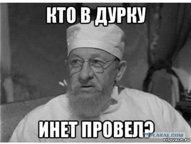 Обострение по осени (трудные будни ветеринара)