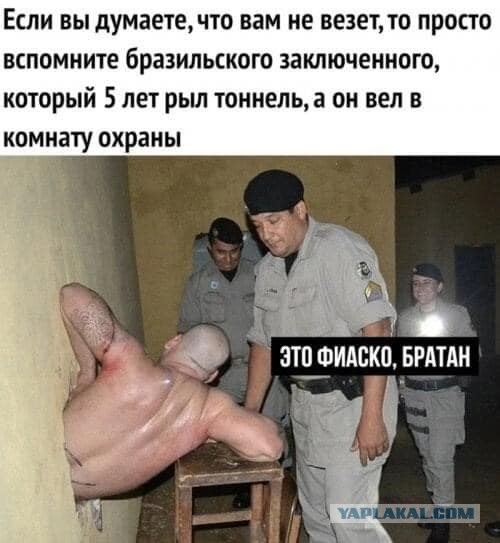 Всяческие картинки 12.01.2022
