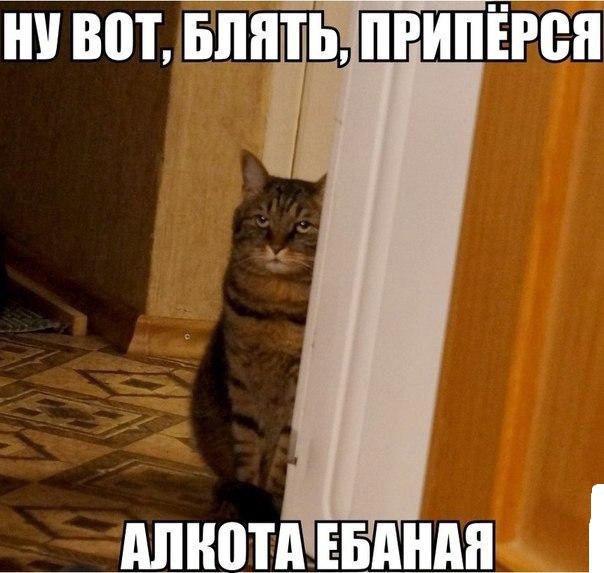 Алкопост 11.03.22