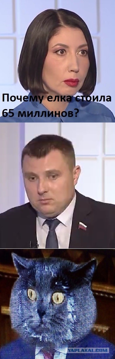 Депутат Воробл думы о елке в 65 млн в г. Воронеж