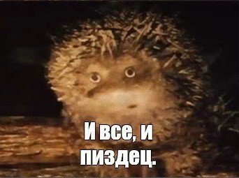 Идиот и кактус