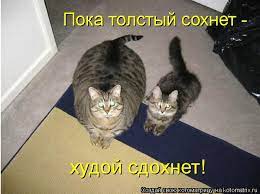 Победная поступь идиотизма по планете – том 3
