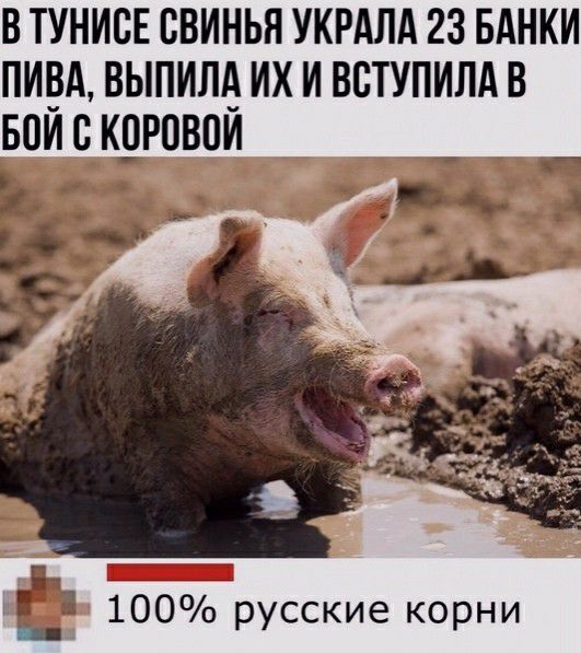 Немного картинок для настроения - 127