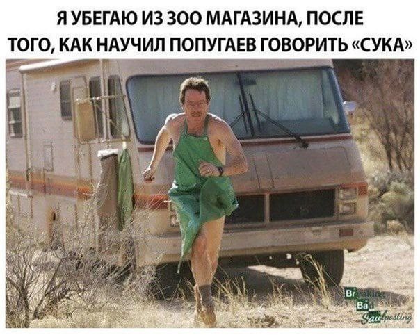 Всего понемногу. Часть 4