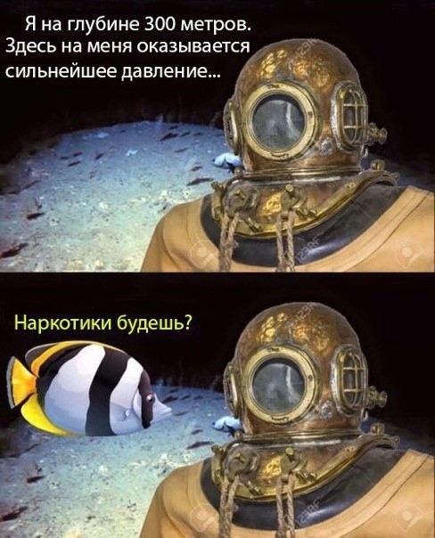 Ученые засняли рыбу на рекордной глубине — 8336 метров