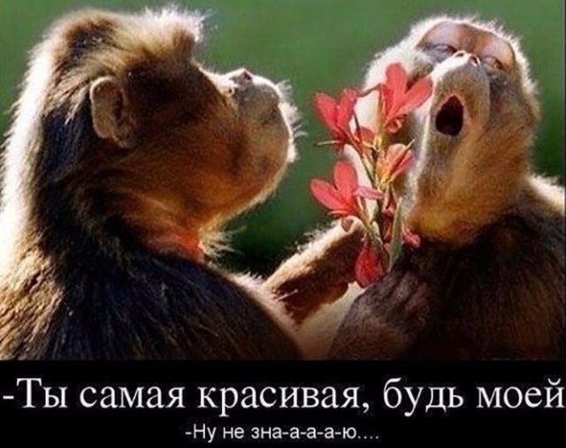 Шестая подборка самых баянистых баянов! Ностальгируем...