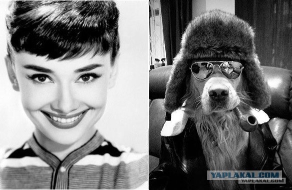 Моя коллега