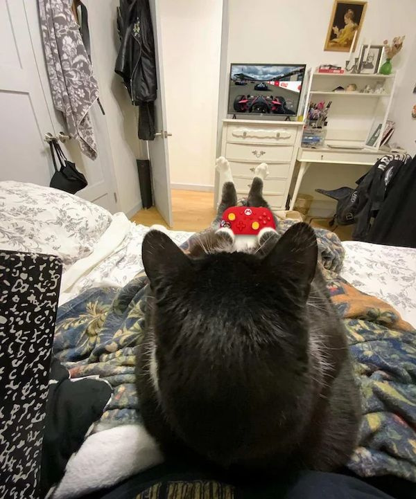 ФотоВинегрет