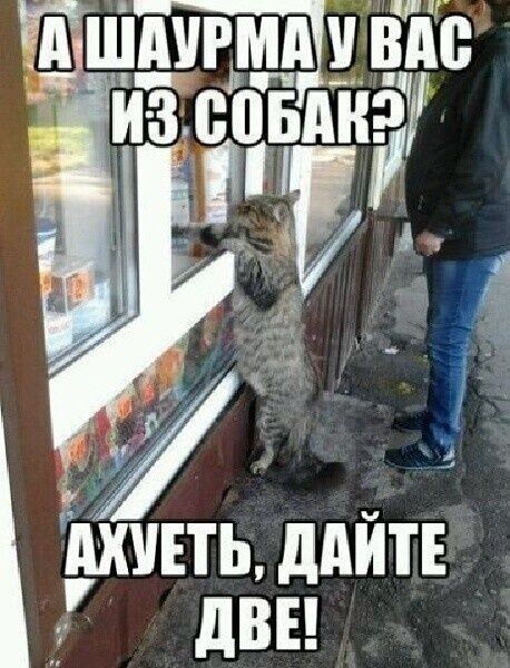 Юмор в картинках и без