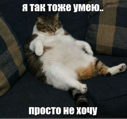 Слон провалился в колодец в Индии. Для спасения пришлось раскапывать все вокруг экскаватором