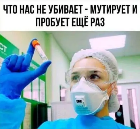 В защиту алкоголя